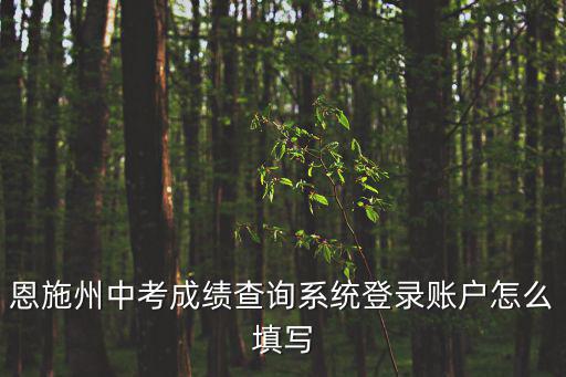 恩施州中考成績查詢系統登錄賬戶怎么填寫