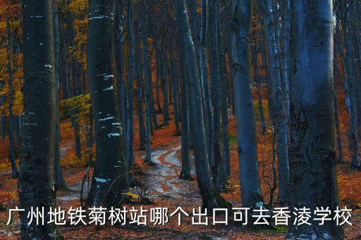 廣州地鐵菊樹站哪個出口可去香淩學校