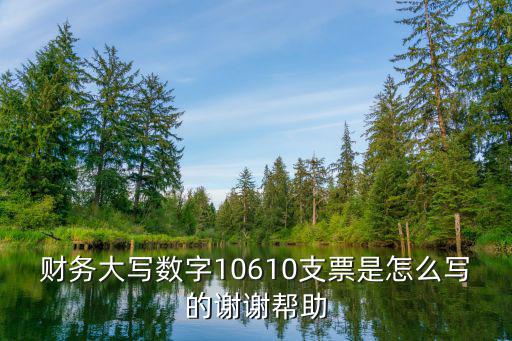 財務大寫數字10610支票是怎么寫的謝謝幫助
