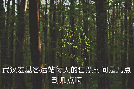 武漢宏基客運站每天的售票時間是幾點到幾點啊