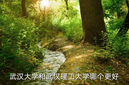 武漢大學和武漢理工大學哪個更好