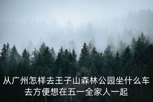 從廣州怎樣去王子山森林公園坐什么車去方便想在五一全家人一起