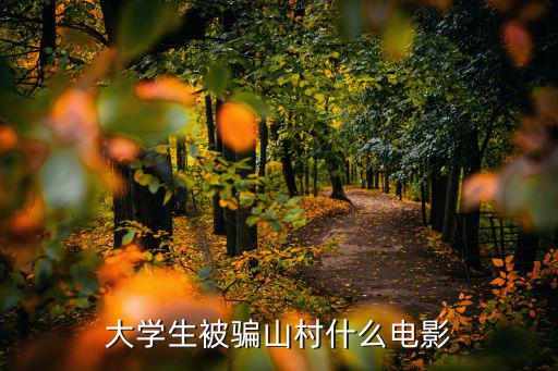 大學生被騙山村什么電影