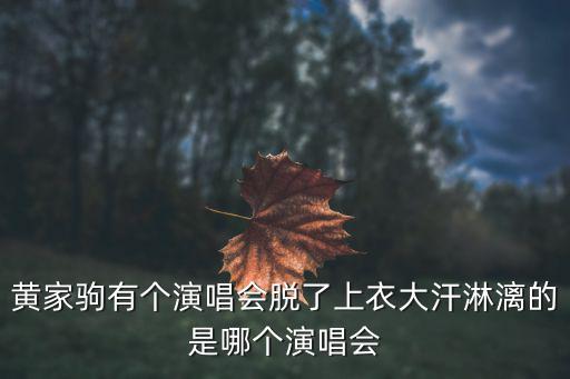 黃家駒有個演唱會脫了上衣大汗淋漓的是哪個演唱會
