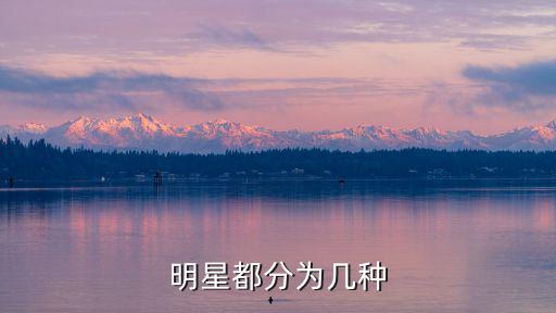 明星系列，明星大搜集