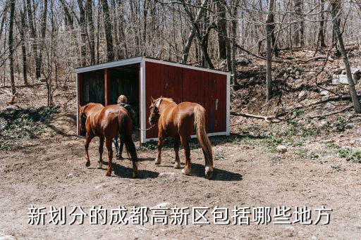 新劃分的成都高新區(qū)包括哪些地方
