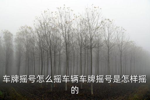 車牌搖號怎么搖車輛車牌搖號是怎樣搖的