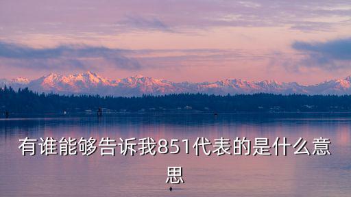 有誰能夠告訴我851代表的是什么意思