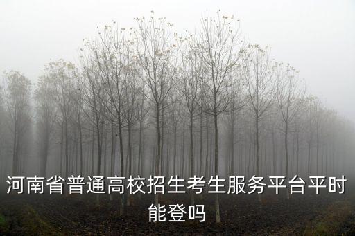 河南省普通高校招生考生服務平臺平時能登嗎