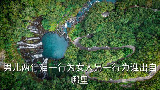 半為蒼生半美人，男兒兩行淚一行為女人另一行為誰出自哪里