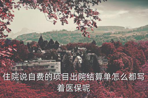 醫保結算單，住院說自費的項目出院結算單怎么都寫著醫保呢