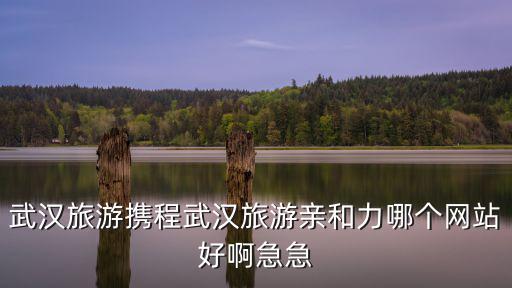 武漢旅游攜程武漢旅游親和力哪個網站好啊急急