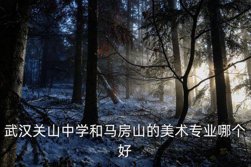 武漢關山中學和馬房山的美術專業哪個好