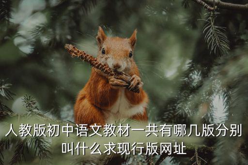 人教版初中語文教材一共有哪幾版分別叫什么求現行版網址