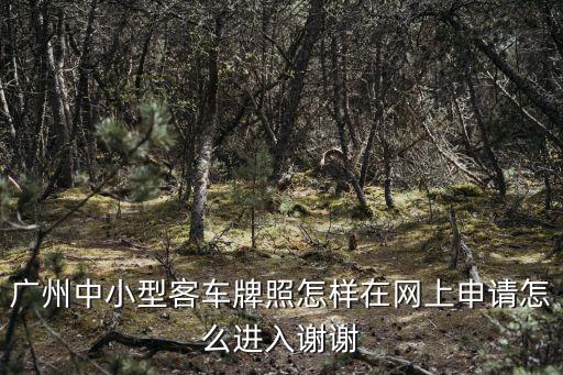 廣州中小型客車牌照怎樣在網(wǎng)上申請(qǐng)?jiān)趺催M(jìn)入謝謝