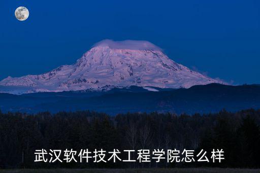 武漢軟件技術工程學院怎么樣