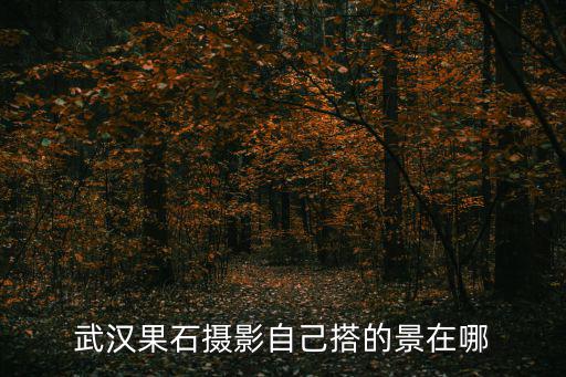 武漢果石攝影自己搭的景在哪