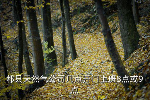 郫縣天然氣公司幾點開門上班8點或9點