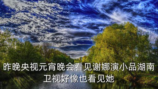 昨晚央視元宵晚會(huì)看見謝娜演小品湖南衛(wèi)視好像也看見她