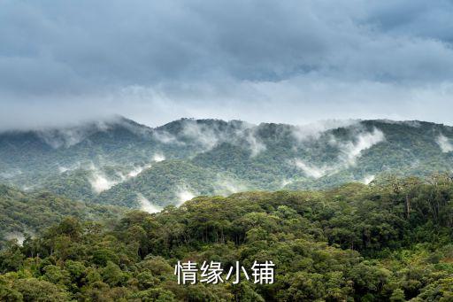 情緣小鋪