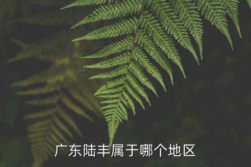 廣東陸豐屬于哪個地區