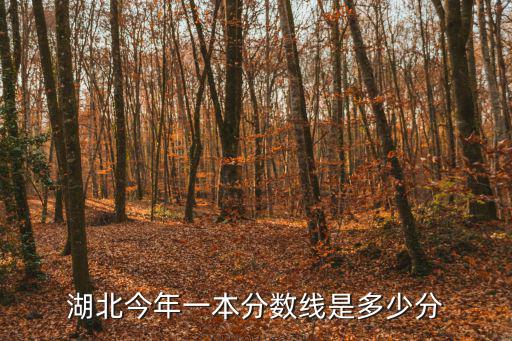 湖北今年一本分數線是多少分