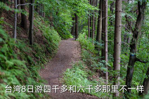 臺灣八日游，臺灣環島八日游那個好