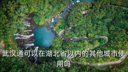 武漢通可以在湖北省以內的其他城市使用嗎