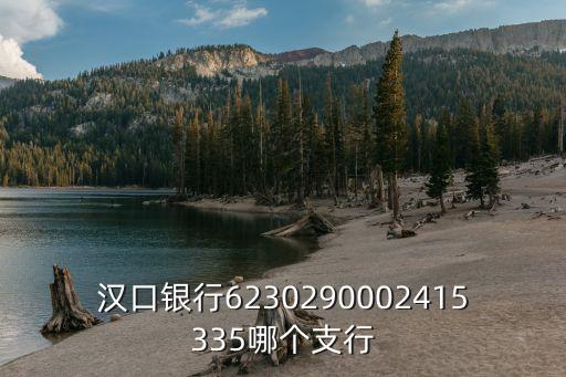 漢口銀行6230290002415335哪個支行