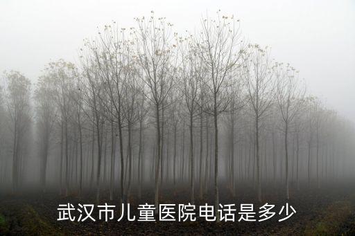 武漢市兒童醫(yī)院電話是多少