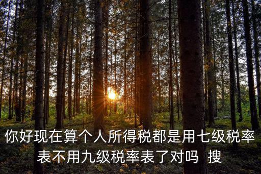 七級累進稅率表，你好現在算個人所得稅都是用七級稅率表不用九級稅率表了對嗎  搜