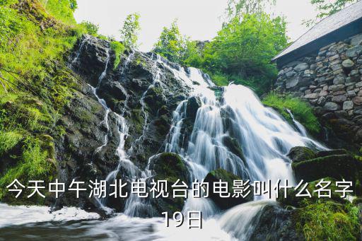今天中午湖北電視臺的電影叫什么名字19日