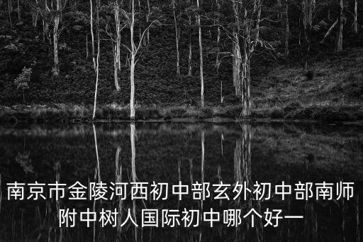 南京市金陵河西初中部玄外初中部南師附中樹人國際初中哪個好一