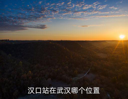 漢口站在武漢哪個位置