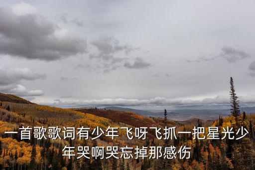星光少年，平安世紀星光少兒兩全保險怎么樣