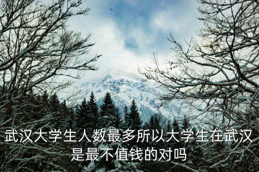 武漢大學(xué)生人數(shù)最多所以大學(xué)生在武漢是最不值錢(qián)的對(duì)嗎