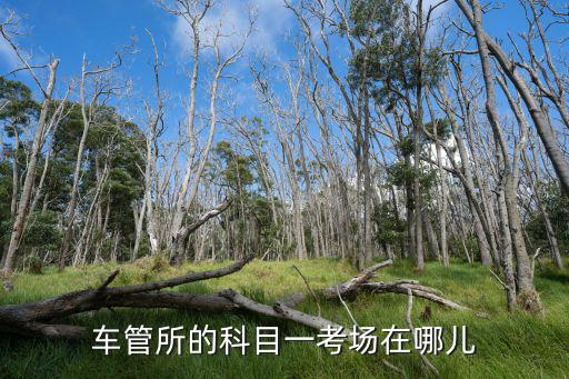 科目一考試地點，車管所的科目一考場在哪兒