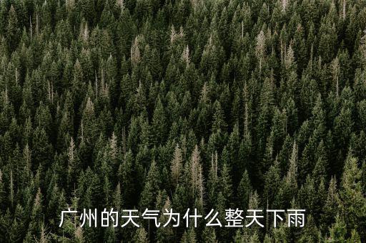 廣州下雨，廣州的天氣為什么整天下雨