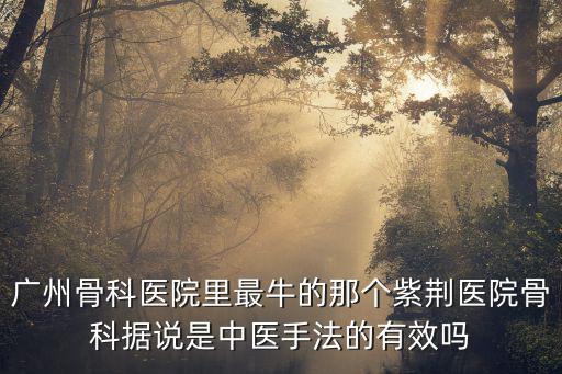廣州骨科醫院里最牛的那個紫荊醫院骨科據說是中醫手法的有效嗎