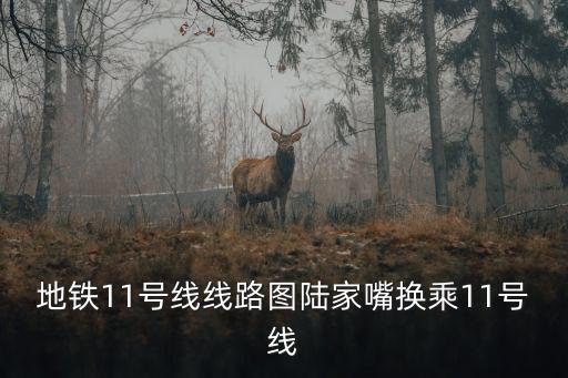 地鐵11號(hào)線線路圖陸家嘴換乘11號(hào)線