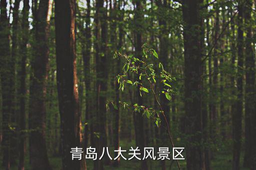 青島八大關風景區，青島的八大關在什么地方