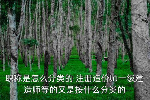 職稱是怎么分類的 注冊造價師一級建造師等的又是按什么分類的