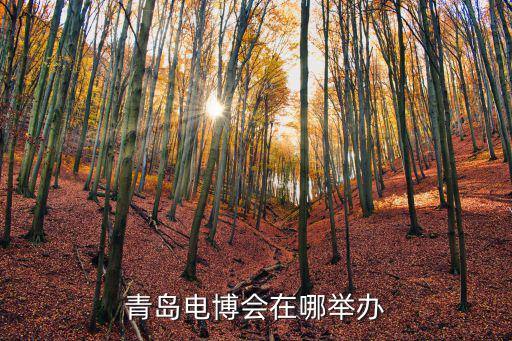 青島電博會在哪舉辦