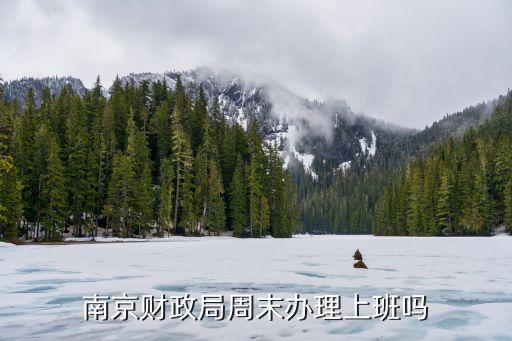 南京財政局周末辦理上班嗎