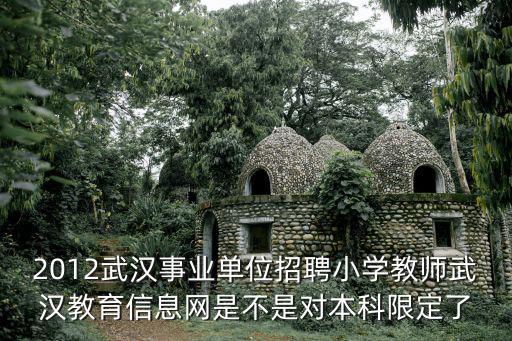 武漢教育資源網，湖北省武漢市中考成績查詢網址急需