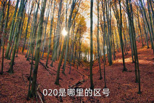 020是哪里的區號