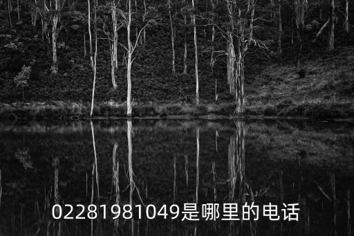 02281981049是哪里的電話