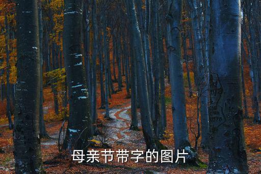 母親節(jié)帶字的圖片