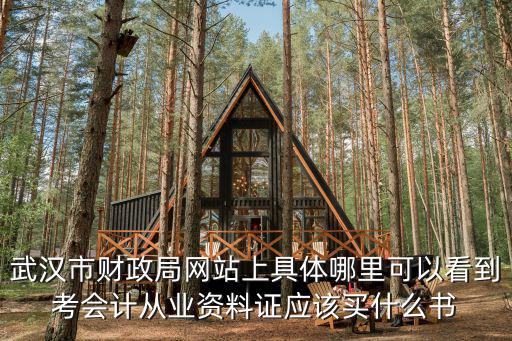 武漢市財政局網站上具體哪里可以看到考會計從業資料證應該買什么書