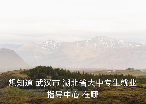 想知道 武漢市 湖北省大中專生就業指導中心 在哪